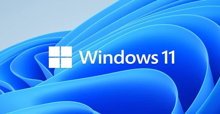 windows 11 novi sad